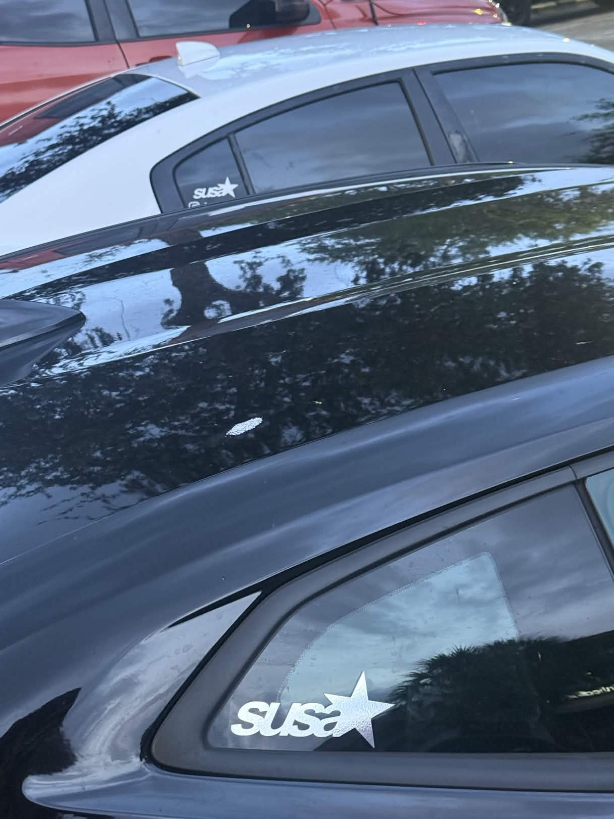 SUSA WINDOW STICKER
